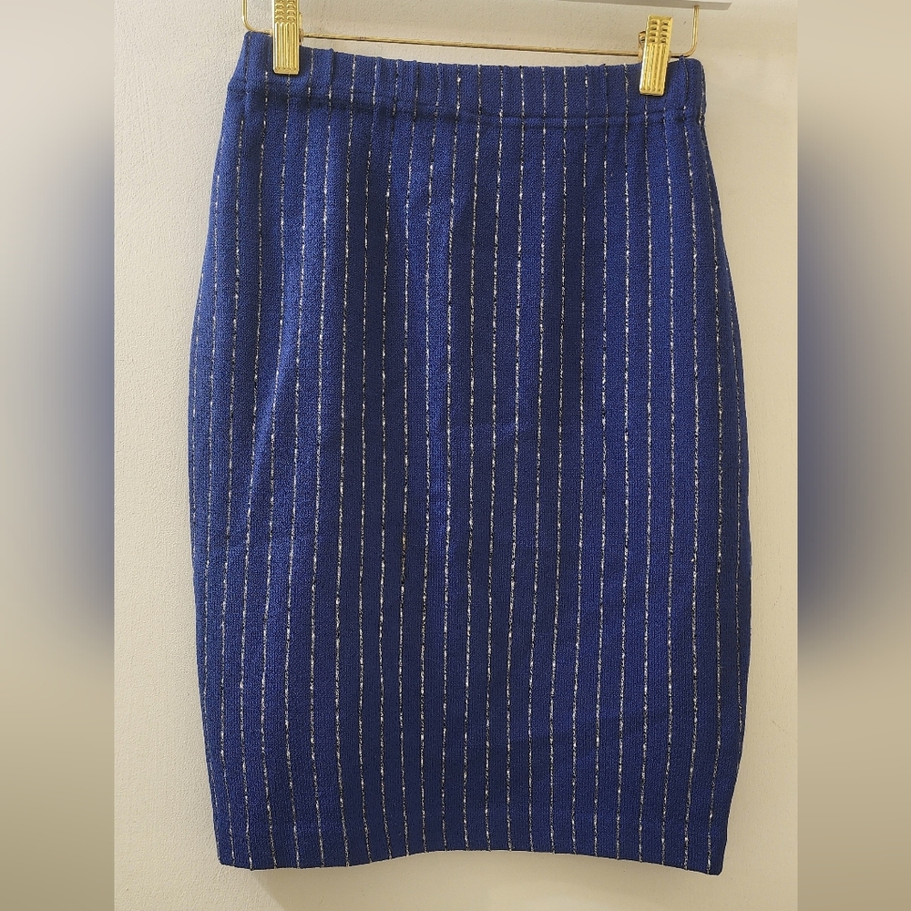St John Collection By Marie Gray Elegant Blue Striped Skirt, Size 2.